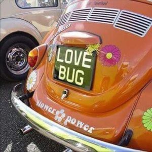 Meet your Posher, Jayne